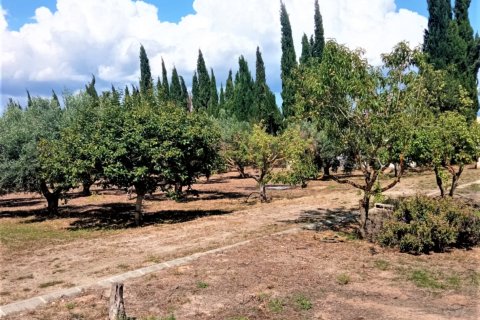 Dom w Mora d'Ebre, Tarragona, Hiszpania 5 sypialni, 375 mkw. nr 153219 – zdjęcie 5