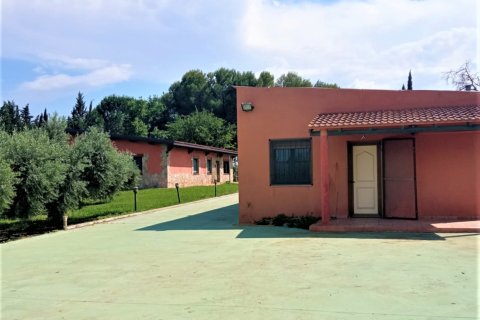 Dom w Mora d'Ebre, Tarragona, Hiszpania 5 sypialni, 375 mkw. nr 153219 – zdjęcie 6