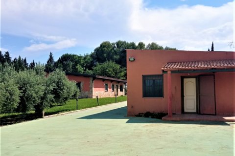 Dom w Mora d'Ebre, Tarragona, Hiszpania 5 sypialni, 375 mkw. nr 153219 – zdjęcie 27