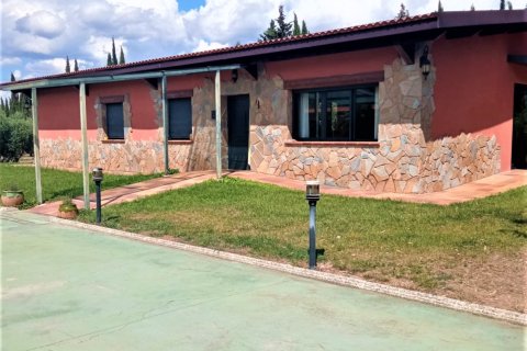 Casa a Mora d'Ebre, Tarragona, Spagna 5 camere da letto, 375 mq. N° 153219