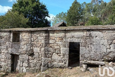 Land plot for sale in Ponte Caldelas, Pontevedra, Spain 3072 sq.m. No. 186083 - photo 5