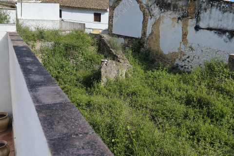 Terreno a Bornos, Cadiz, Spagna 200 mq. N° 184646