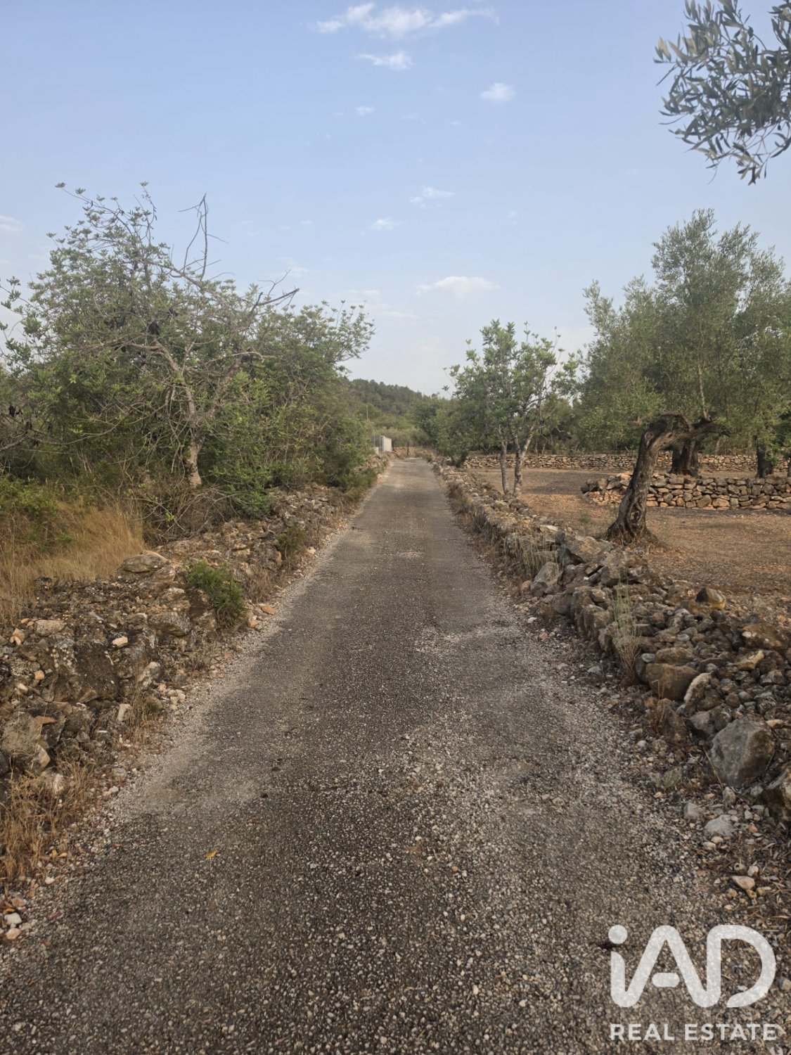 Tontti El Perello, Tarragona, Espanja 5711 m2 No. 195023
