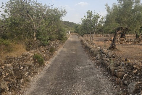 Tontti myytävänä El Perello, Tarragona, Espanja , 5711 m2 No. 195023 - kuva 7