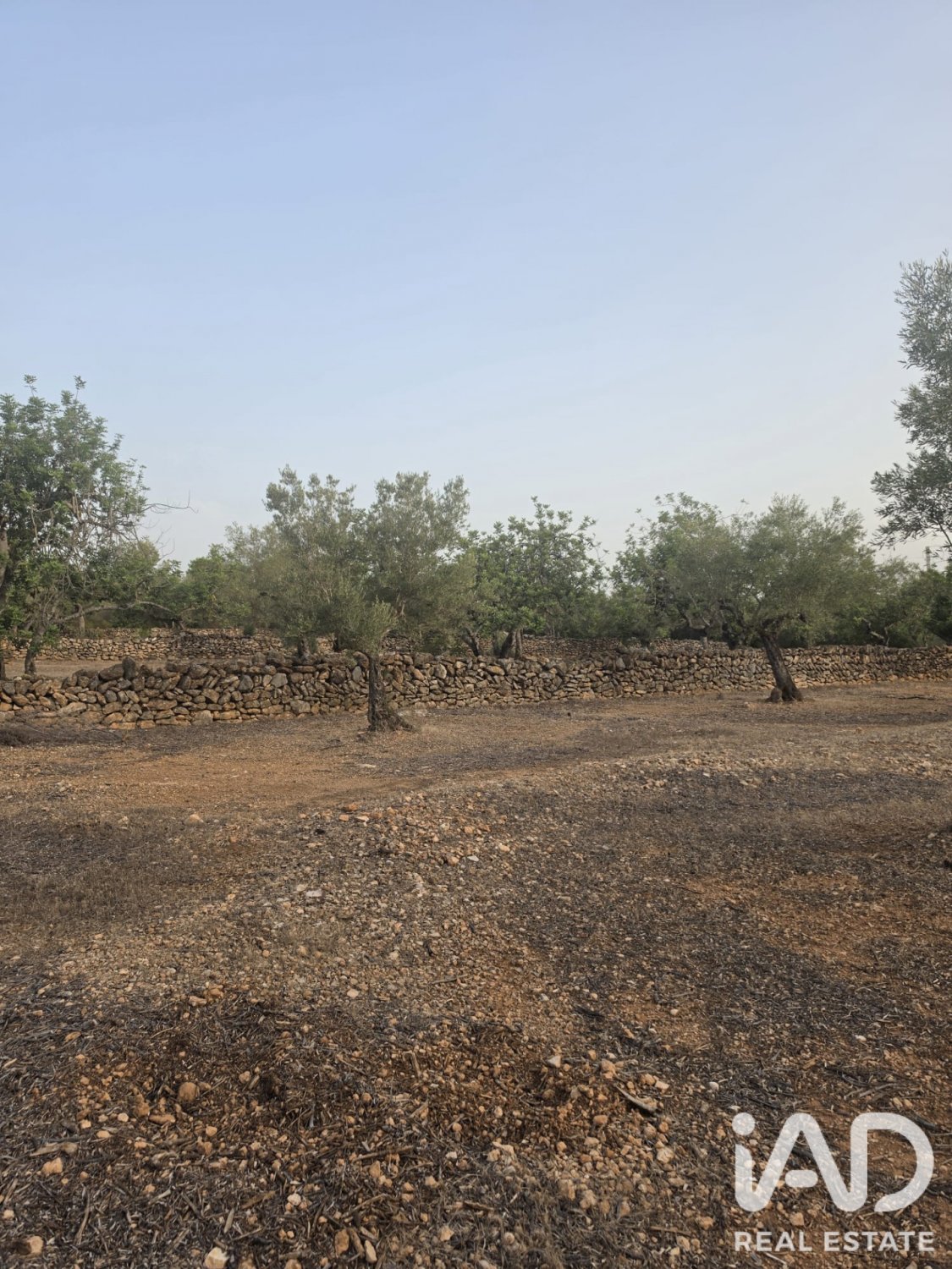 Tontti El Perello, Tarragona, Espanja 5711 m2 No. 195023