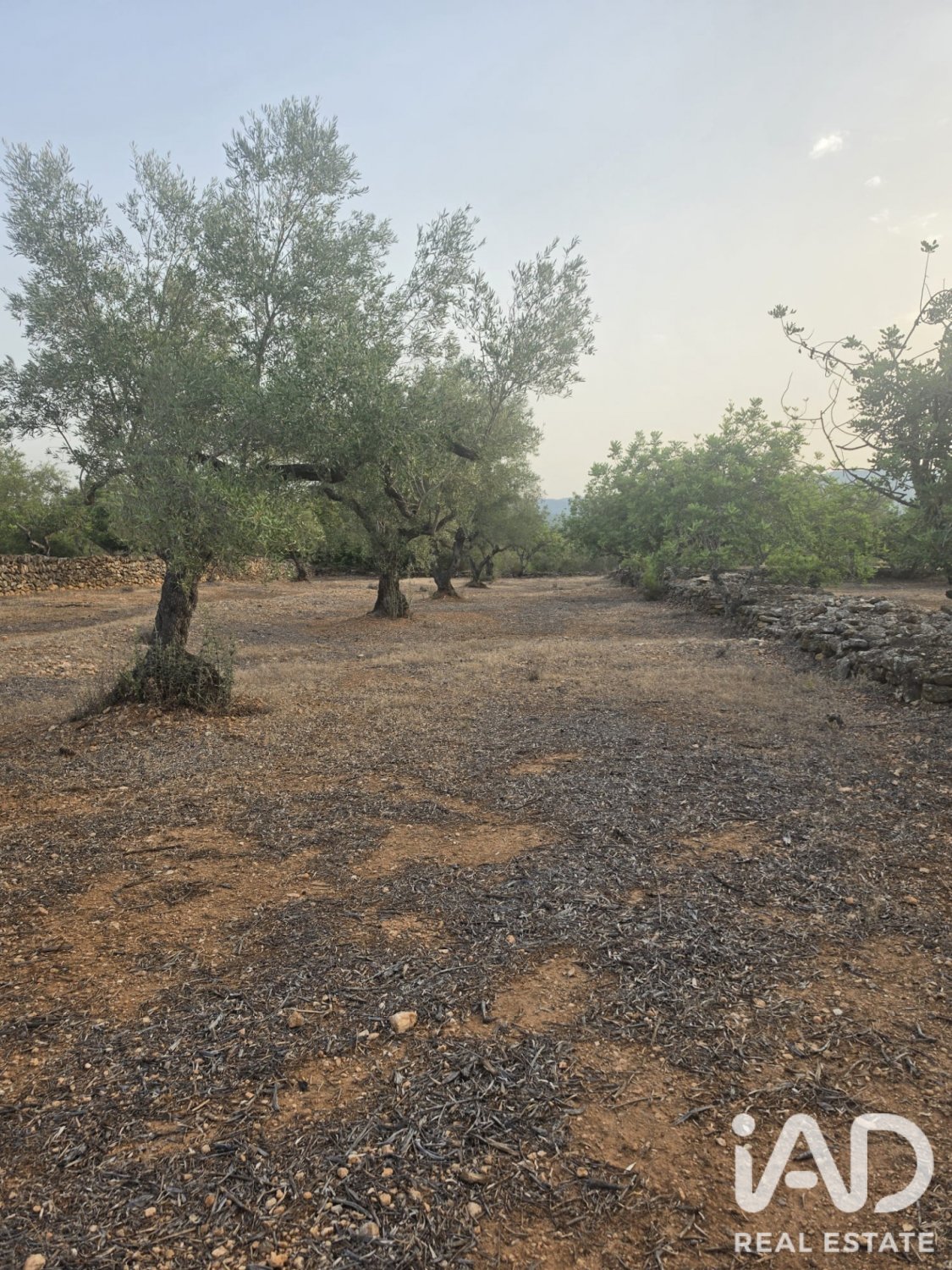 Tontti El Perello, Tarragona, Espanja 5711 m2 No. 195023