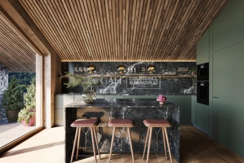 House for sale in Principado De Andorra (Ninguna Poblacion Tiene C.P.), Lleida, Spain 4 bedrooms, 559 sq.m. No. 158430 - photo 5