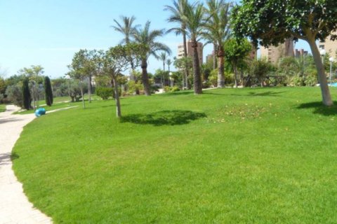 Wohnung zum Verkauf in Benidorm, Alicante, Spanien 1 Schlafzimmer, 65 m2 Nr. 196700 - Foto 13