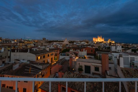 Penthouse à vendre Palma de Majorca, Mallorca, Espagne, 2 chambres, 226 m2 No. 139224 - photo 7