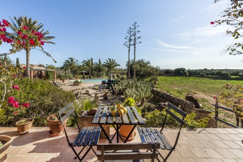 Finca for rent Campos, Mallorca, Spain 4 bedrooms, 500 sq.m. No. 139228 - photo 4