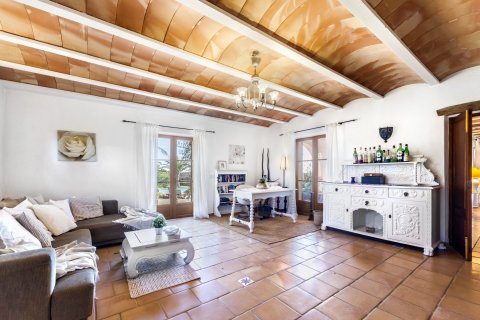 Finca for rent Campos, Mallorca, Spain 4 bedrooms, 500 sq.m. No. 139228 - photo 10