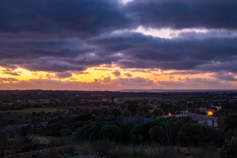 Townhouse à vendre à Ses Salines, Mallorca, Espagne, 4 chambres, 353 m2 No. 139229 - photo 30