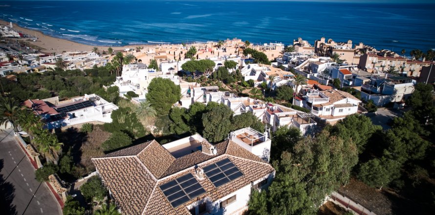 Villa Torrevieja, Alicante, Spanien 5 sovrum, 468 kvm. Nr. 118799