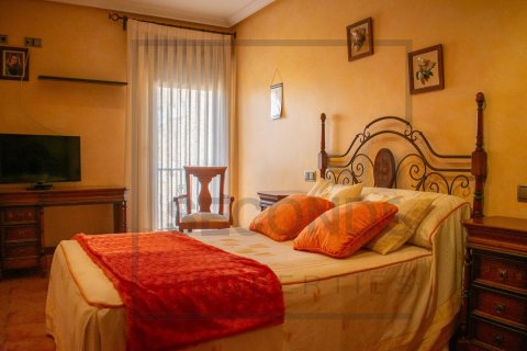 Villa in vendita Guardamar del Segura, Alicante, Spagna 4 camere da letto, 650 mq. N° 118810 - foto 18