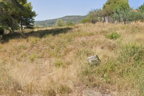Продажа земельного участка в Испании 837м2 №185826 - фото 4