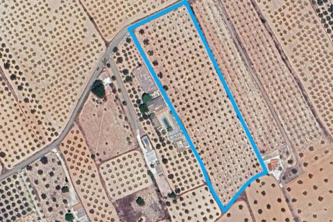 Land plot for sale in Sax, Alicante, Spain 15889 sq.m. No. 185830 - photo 7