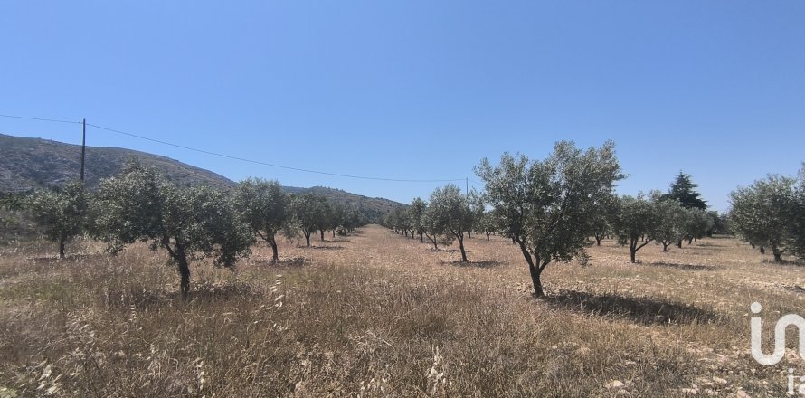 Land plot in Sax, Alicante, Spain 15889 sq.m. No. 185830
