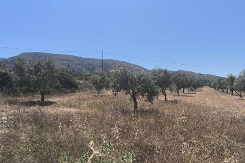 Land plot for sale in Sax, Alicante, Spain 15889 sq.m. No. 185830 - photo 2