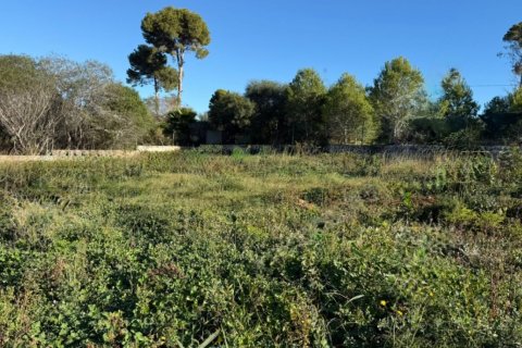 Tontti Javea, Alicante, Espanja 177 m2 No. 180175