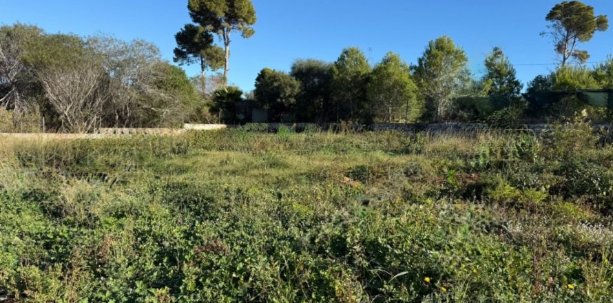 Parcela en Jávea, Alicante, España 177 m2 No. 180175