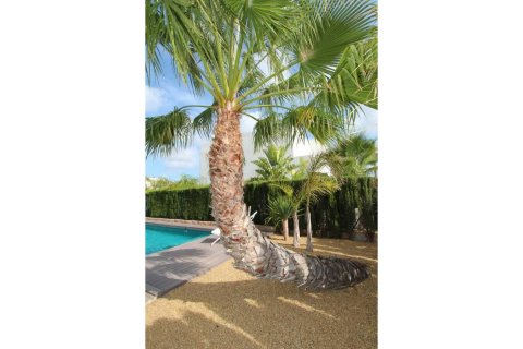 Villa for sale Rojales, Alicante, Spain 3 bedrooms, 160 sq.m. No. 115710 - photo 8