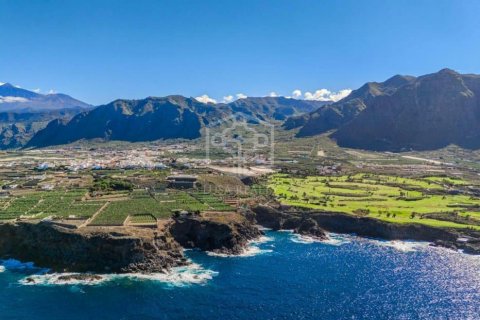 Villa à vendre Buenavista del Norte, Tenerife, Espagne, 6 chambres, 460 m2 No. 111076 - photo 3