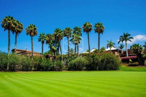 Villa zum Verkauf Arona, Tenerife, Spanien 6 Schlafzimmer, 700 m2 Nr. 111075 - Foto 2