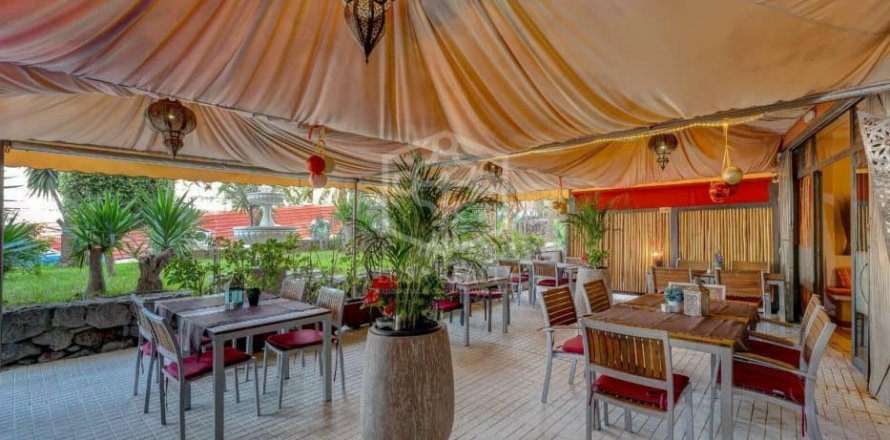 Commercial property Adeje, Tenerife, Espagne 222 m2 No. 111080