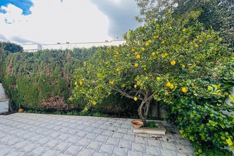 Tvåvåningslägenhet till salu i Mallorca, Spanien 5 sovrum, 162 kvm. Nr. 143763 - foto 22