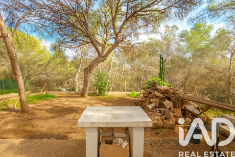 Сasa en venta en Pilar de la Horadada, Alicante, España 3 dormitorios, 150 m2 No. 188463 - foto 27