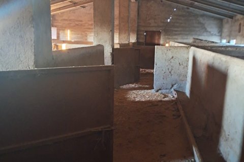 Продажа дома в Лорка, Мурсия, Испания 6 спален, 200м2 №188464 - фото 24