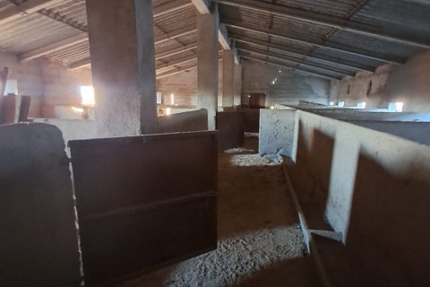Продажа дома в Лорка, Мурсия, Испания 6 спален, 200м2 №188464 - фото 25
