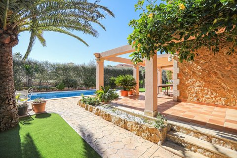 Huvila myytävänä Sa Torre, Mallorca, Espanja, 4 makuuhuonetta, 300 m2 No. 148004 - kuva 28