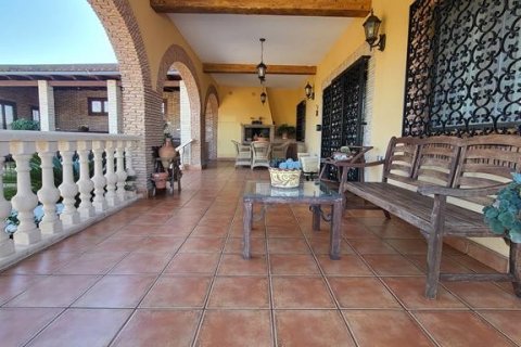 Huvila myytävänä Bigastro, Alicante, Espanja, 4 makuuhuonetta,  No. 144041 - kuva 6