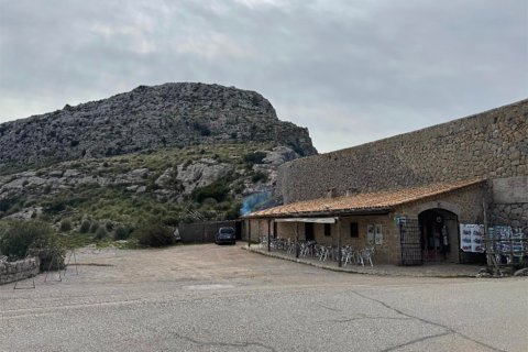 Villa en venta en Escorca, Mallorca, España 5 dormitorios, 1062 m2 No. 143430 - foto 22