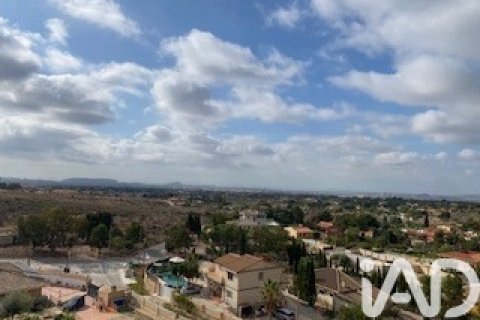 Продажа земельного участка в Сан-Висенте-дель-Распеиг, Аликанте, Испания 1300м2 №185403 - фото 4