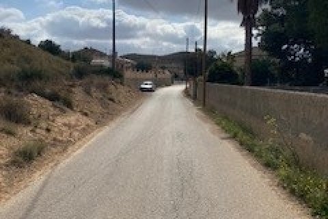Продажа земельного участка в Сан-Висенте-дель-Распеиг, Аликанте, Испания 1300м2 №185403 - фото 10