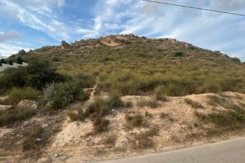 Zemes gabals San Vicente del Raspeig, Alicante, Spānijā 1300 m2 Nr. 185403
