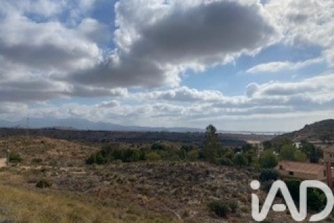 Продажа земельного участка в Сан-Висенте-дель-Распеиг, Аликанте, Испания 1300м2 №185403 - фото 5