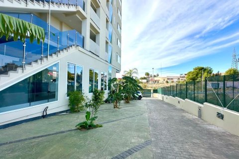 Apartment à vendre à Benidorm, Alicante, Espagne, 2 chambres, 103 m2 No. 179616 - photo 28
