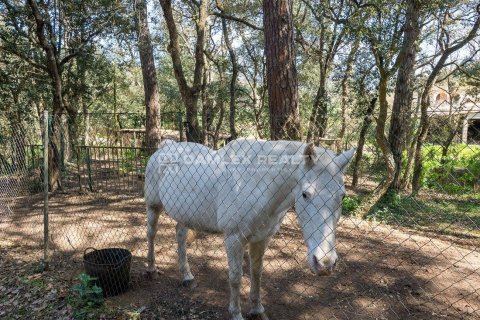 Willa w Santa Cristina d'Aro, Girona, Hiszpania 5 sypialni, 343 mkw. nr 176997 – zdjęcie 13