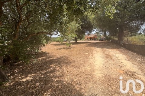 Land plot for sale in Villanueva de los Castillejos, Huelva, Spain 13685 sq.m. No. 185745 - photo 20