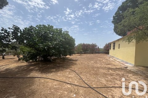 Land plot for sale in Villanueva de los Castillejos, Huelva, Spain 13685 sq.m. No. 185745 - photo 17