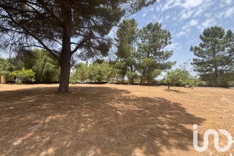 Land plot for sale in Villanueva de los Castillejos, Huelva, Spain 13685 sq.m. No. 185745 - photo 19