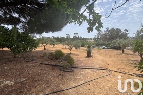 Land plot for sale in Villanueva de los Castillejos, Huelva, Spain 13685 sq.m. No. 185745 - photo 18