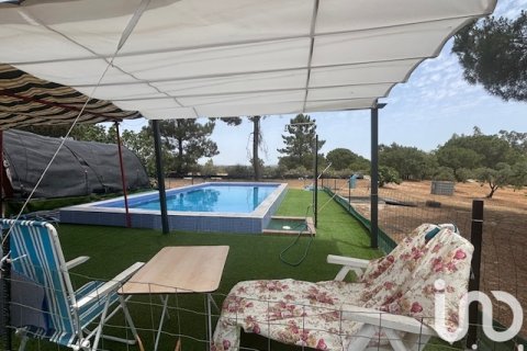 Land plot for sale in Villanueva de los Castillejos, Huelva, Spain 13685 sq.m. No. 185745 - photo 13