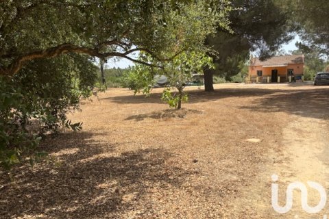 Land plot for sale in Villanueva de los Castillejos, Huelva, Spain 13685 sq.m. No. 185745 - photo 2