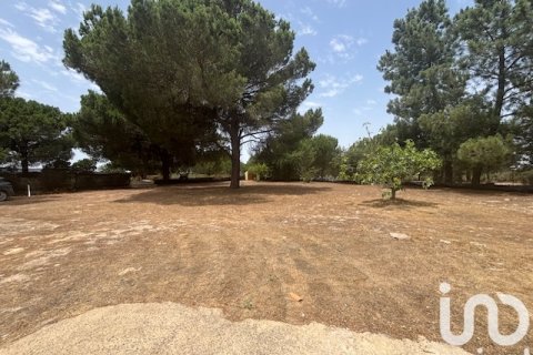 Land plot for sale in Villanueva de los Castillejos, Huelva, Spain 13685 sq.m. No. 185745 - photo 16