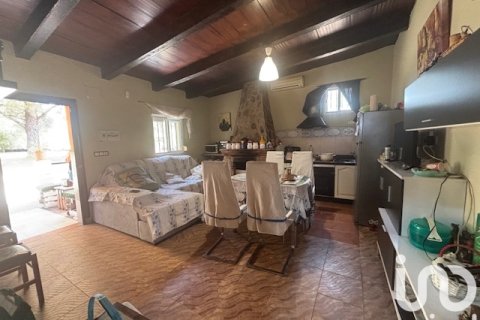 Land plot for sale in Villanueva de los Castillejos, Huelva, Spain 13685 sq.m. No. 185745 - photo 6