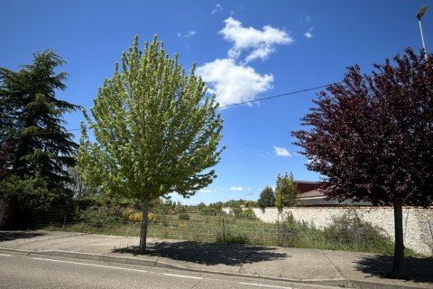 Land in Valverde de la Virgen, Leon, Spanien 2265 m2 Nr. 185743